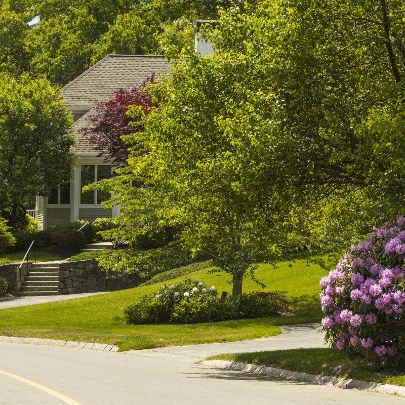 060820_AG_ND_Lanscape_0137