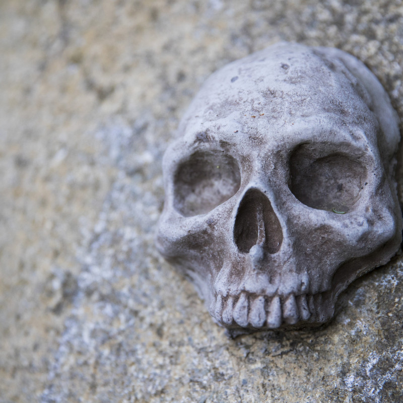 060820_AG_ND_Lanscape_0194