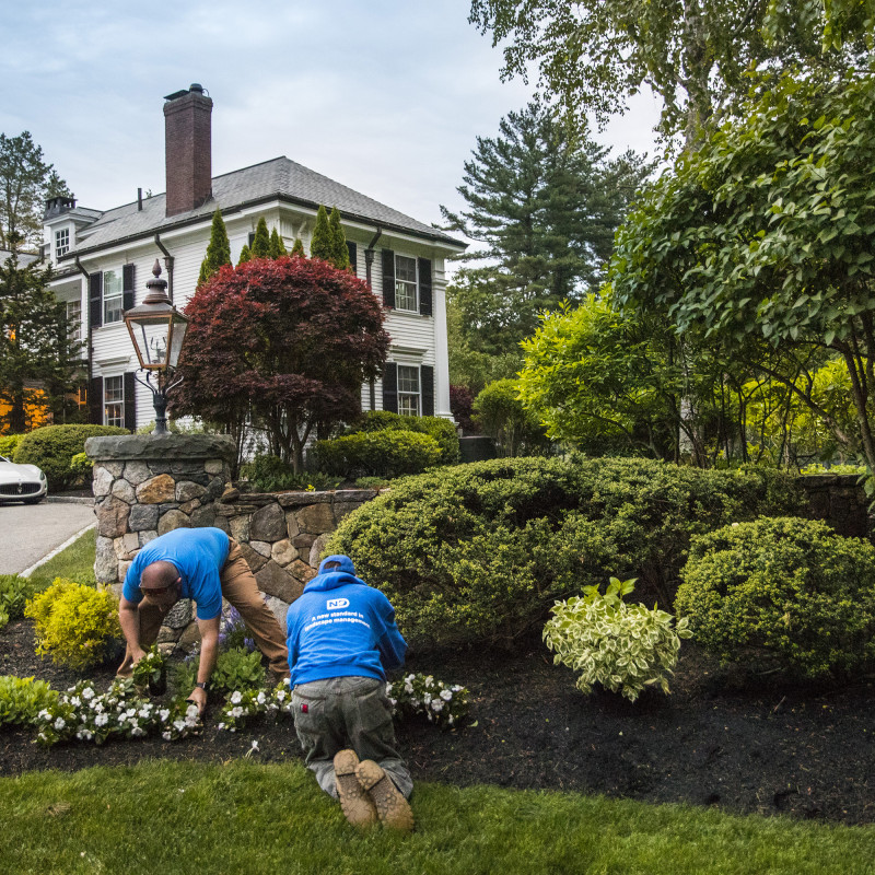 060820_AG_ND_Lanscape_0217