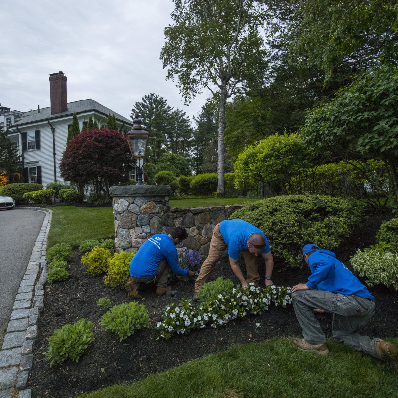 060820_AG_ND_Lanscape_0218